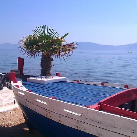 C2 * Sućuraj